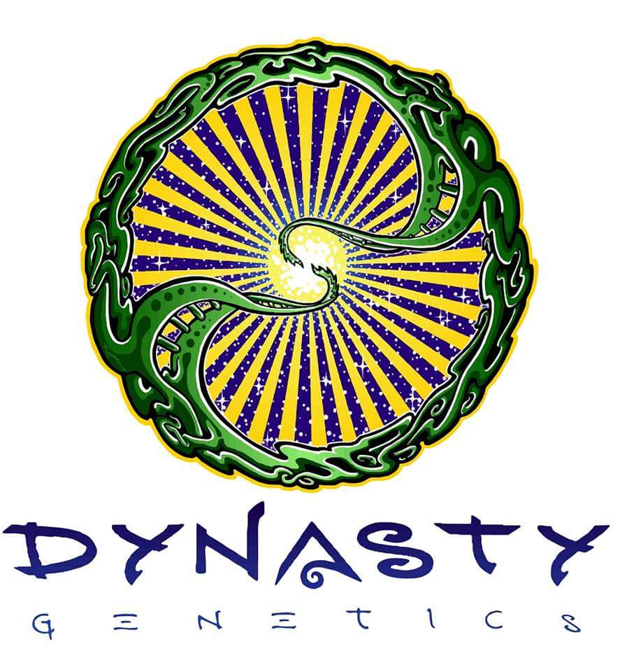 Dynasty Genetics