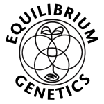 Equilibrium Genetics Equilibrium Genetics