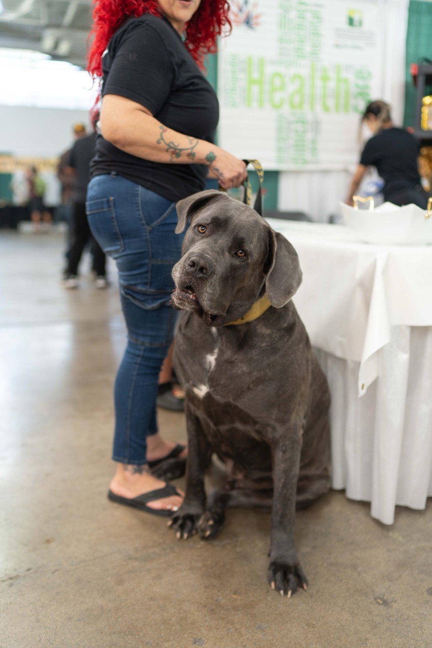 2025 Hawaii Cannabis Expo
