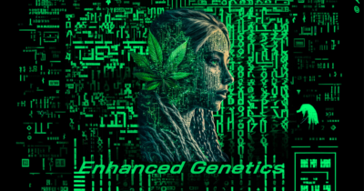 Enhanced Genetics